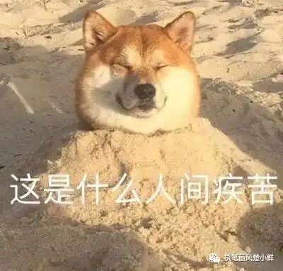 测试一个超长简介的文章