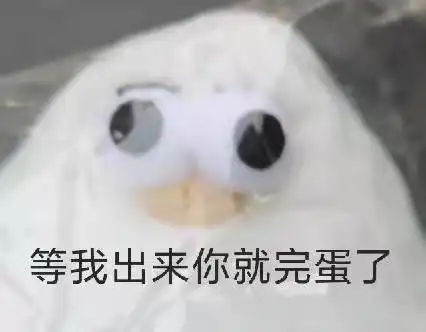 有哪些实用沙雕让别人秒回的表情包