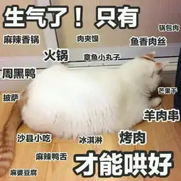 若在麦当劳肯德基买到实际只有4块的5块装鸡块怎么办