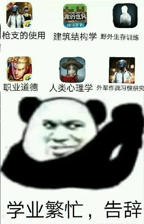 安冰西瓜视频中的沙雕表情包第五向