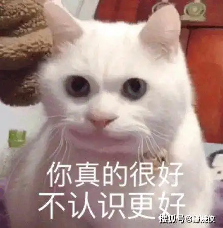 喜欢的表情包进入委屈模式,鸡同鸭讲