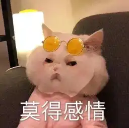 斗图不会输表情包干啥啥不行,吃饭第一名