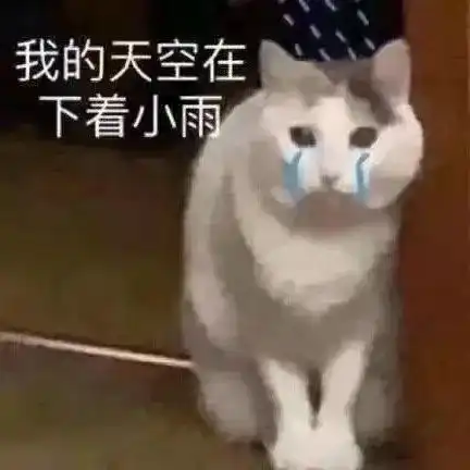表情包委屈小猫头
