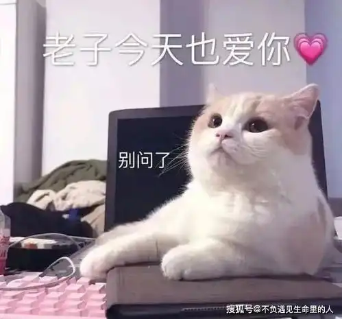 爆笑段子在他们崇拜的目光中我缓缓骑上自己的自行车,扬长而去