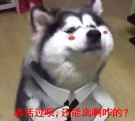 测试一个超长简介的文章