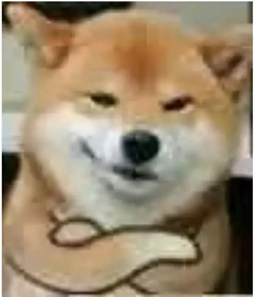 测试一个超长简介的文章