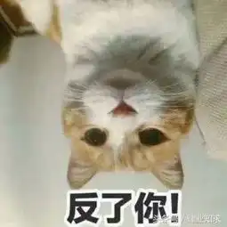 淘宝客服们皮起来真的是哈哈哈哈哈哈