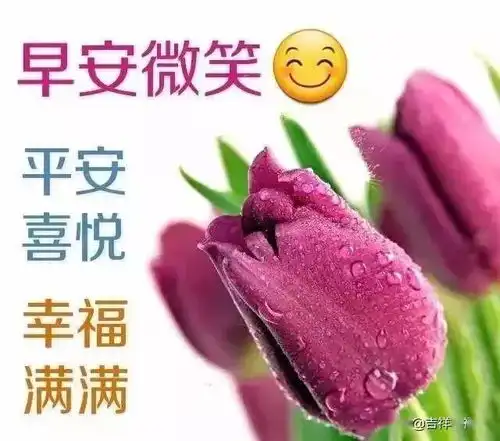 谁真谁假,心里明白谁忍谁让,都别伤害,早安
