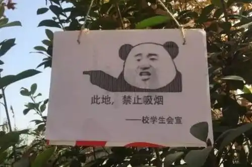 抽烟找不到对象高校禁烟出狠招网友吓得烟都掉了