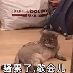 斗图表情包合集你真是个憨憨