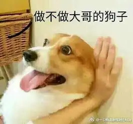 你们和喜欢的人是怎么在一起的