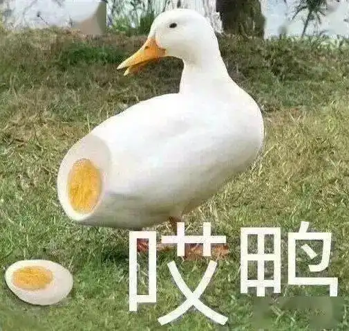 斗图必备表情包动态配图