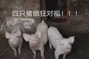 月薪2万,招复旦厦大等名校生去养猪读书到底有没有用北大屠夫这样说