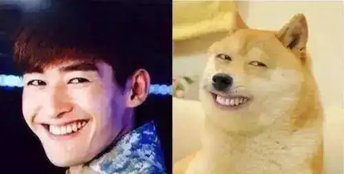 男星们笑成表情包是什么样胡歌笑得青筋暴起,蒋劲夫撞脸姚明