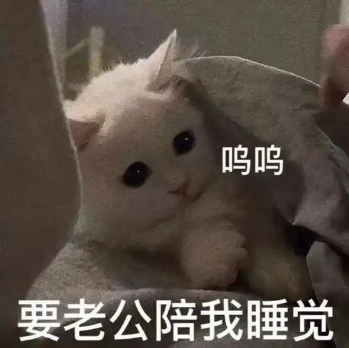 我喜欢什么的男生今日头条