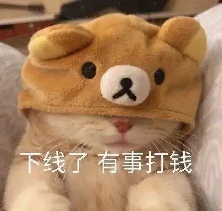 新会人2020年度账单来了原来我这么有钱