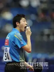 世乒赛趣味囧表情大搜查