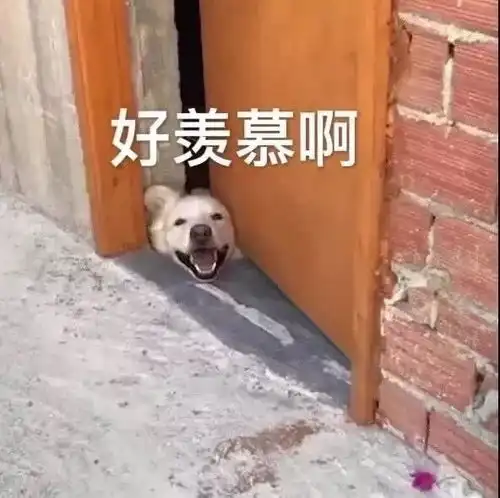 表情包图片最新热门的搞笑