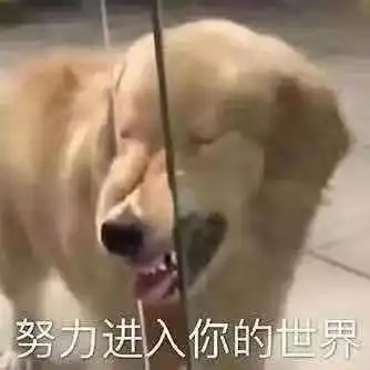 轻松一刻1024,一个聚众吃瓜的节日
