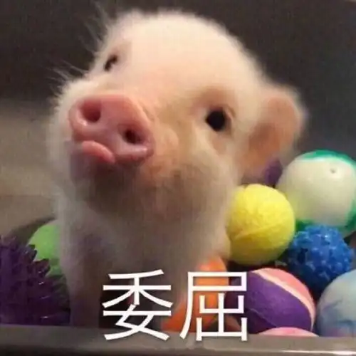 晚上吃葡萄,肚子好饿
