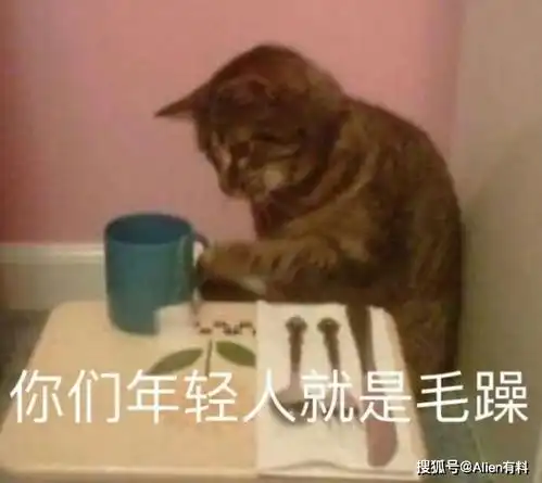 我没骂你,我骂介绍人呢