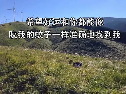 熊本熊关于夏天的表情包夏天太热了,想找个人冷战一下