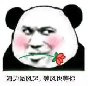 搞怪熊猫头幼儿园都是这个时间睡觉吗