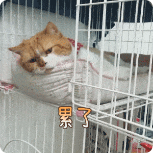 搞笑沙雕表情包