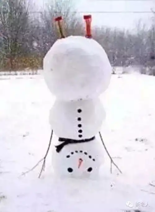 小雪到,降温了,发个笑话逗大家笑一笑暖一暖