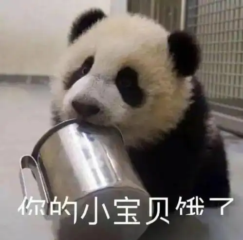 可爱动物表情包