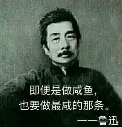 大抵是网友太有才,才有了鲁迅体emo文案