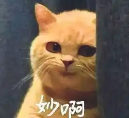 夸夸群里的彩虹屁轮番发射中茅山宝盛园首届魔力彩虹节有趣夸