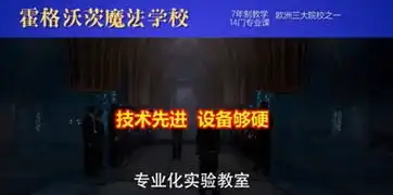 谢邀,刚下光轮,让我给你们介绍下哈利波特同款光轮2000