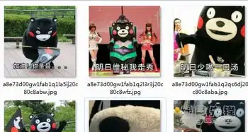 加油你是最胖的原图表情包加油你是最胖的图片v2017高清版软件下载