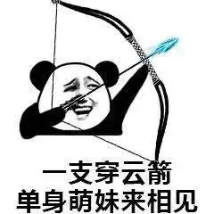 今日份熊猫头斗图聊天表情包