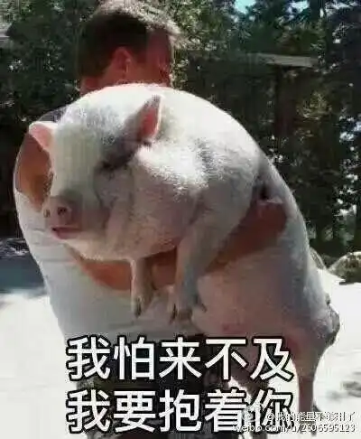 测试一个超长简介的文章