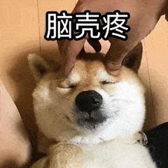 萌宠狗狗有趣表情包过奖了过奖了,我哪有这么好