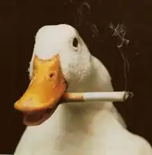 搞笑动物图集盘点动物界老烟枪