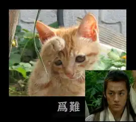 冲哥表情搞笑版