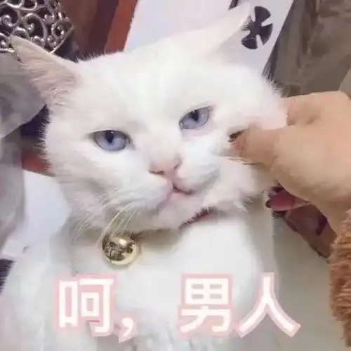 搞笑段子我永远屈服于温柔,而你就是温柔本身