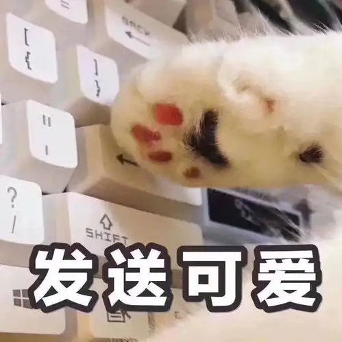 2019的天然萌