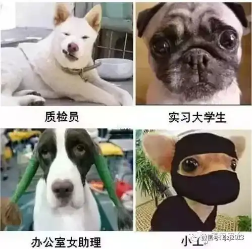 售楼部的美女,工程部的汉,项目部的光棍满街转