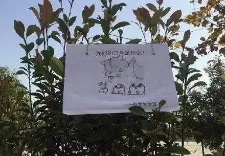 这9张禁烟宣传照片火了全是表情包