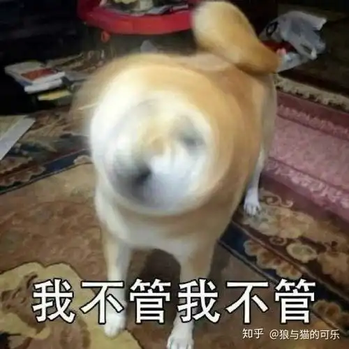 九日有可能去打职业吗