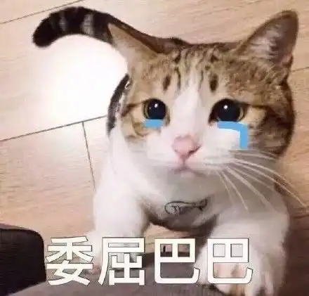 让人可怜的喵星人汪星人委屈表情包