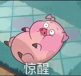 大神们有没有这只猪的表情包