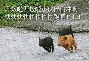 动物冲去吃饭表情包