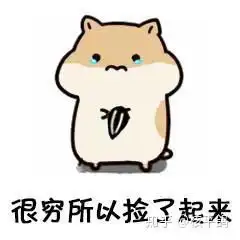 你有哪些可爱的小仓鼠表情包