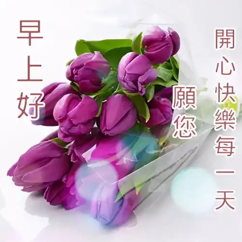 早上好的短句子早上好表情早上好问候专辑早上好表情包