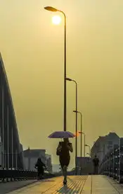 测试一个超长简介的文章